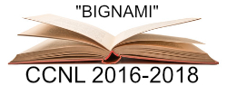 bignami CCNL 2016-2018