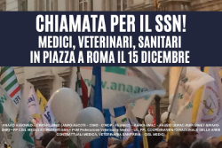 manifestazione 151122
